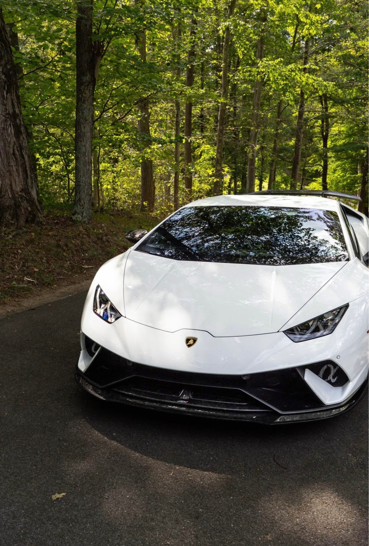 2018 Lamborghini Huracan Performante photo 3